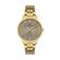 Ceas Daniel Klein Premium DK.1.13259.3