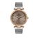 Ceas Daniel Klein Premium DK.1.13262.3