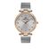 Ceas Daniel Klein Premium DK.1.13262.4
