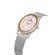 Ceas Daniel Klein Premium DK.1.13436.6