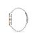 Ceas Daniel Klein Premium DK.1.13364.4