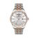 Ceas Daniel Klein Premium DK.1.13364.5