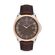 Ceas Daniel Klein Premium DK.1.13374.4
