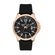 Ceas Daniel Klein Premium DK.1.13379.3