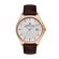 Ceas Daniel Klein Premium DK.1.13381.3