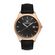 Ceas Daniel Klein Premium DK.1.13381.5