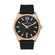 Ceas Daniel Klein Premium DK.1.13404.3