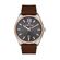 Ceas Daniel Klein Premium DK.1.13404.4