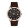 Ceas Daniel Klein Premium DK.1.13448.3
