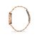 Ceas Daniel Klein Exclusive DK.1.13415.5