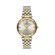 Ceas Daniel Klein Premium DK.1.13332.3