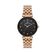 Ceas Daniel Klein Premium DK.1.13332.6