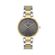 Ceas Daniel Klein Premium DK.1.13339.4