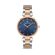 Ceas Daniel Klein Premium DK.1.13339.6