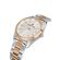 Ceas Daniel Klein Premium DK.1.13340.5