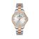 Ceas Daniel Klein Premium DK.1.13344.6