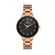 Ceas Daniel Klein Premium DK.1.13393.6