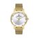 Ceas Daniel Klein Premium DK.1.13406.3