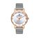Ceas Daniel Klein Premium DK.1.13406.6