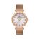 Ceas Daniel Klein Premium DK.1.13416.5