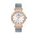 Ceas Daniel Klein Premium DK.1.13416.6