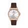 Ceas Daniel Klein Premium DK.1.13419.3