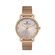 Ceas Daniel Klein Premium DK.1.13428.5