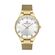 Ceas Daniel Klein Premium DK.1.13429.3