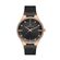 Ceas Daniel Klein Premium DK.1.13429.5