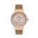 Ceas Daniel Klein Premium DK.1.13434.5