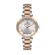 Ceas Daniel Klein Premium DK.1.13435.6