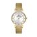 Ceas Daniel Klein Premium DK.1.13437.2