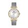 Ceas Daniel Klein Premium DK.1.13437.3