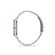 Ceas Daniel Klein Trendy DK.1.13346.5