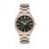 Ceas Freelook Eiffel FL.1.10386.5