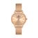 Ceas Daniel Klein Premium DK.1.13460.5