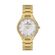Ceas Daniel Klein Premium DK.1.13479.3