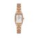 Ceas Daniel Klein Premium DK.1.13480.5