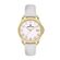 Ceas Daniel Klein Premium DK.1.13502.3