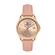Ceas Daniel Klein Premium DK.1.13502.5