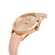 Ceas Daniel Klein Premium DK.1.13502.5