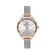 Ceas pentru dama, Daniel Klein Premium, DK.1.13508.4