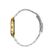 Ceas Freelook Charmant FL.1.10392.5