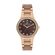 Ceas Daniel Klein Premium DK.1.13463.5
