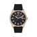 Ceas Daniel Klein Premium DK.1.13666.3
