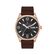 Ceas pentru barbati, Daniel Klein Premium, DK.1.13668.6