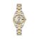 Ceas Daniel Klein Premium DK.1.13758.6