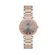 Ceas Daniel Klein Premium DK.1.13768.6