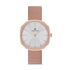 Ceas Daniel Klein Fiord DK.1.12651.5