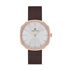 Ceas Daniel Klein Fiord DK.1.12654.3